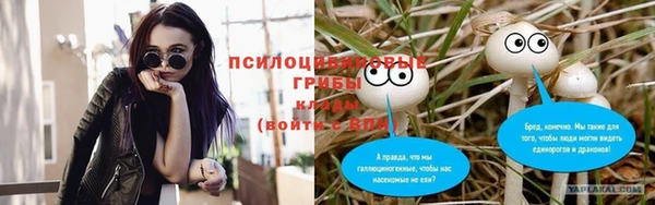амф Осташков