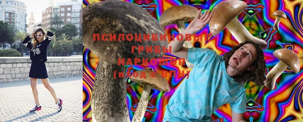 эйфоретик Пестово