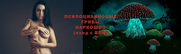 эйфоретик Пестово