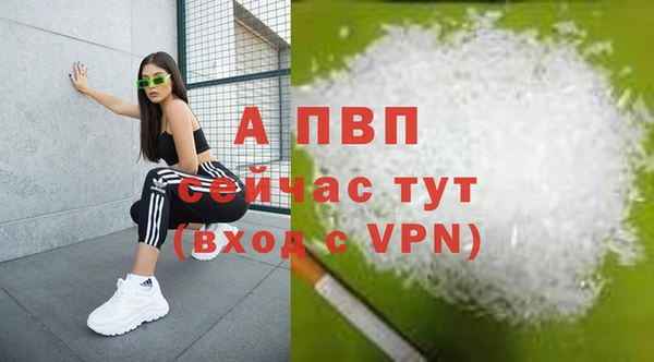 амф Осташков