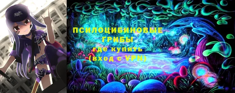 где купить   Адыгейск  Галлюциногенные грибы прущие грибы 